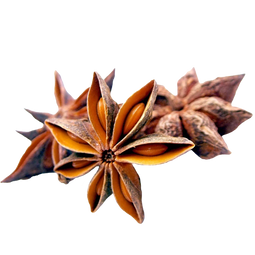 Pumpkin Pie Spice Blend
